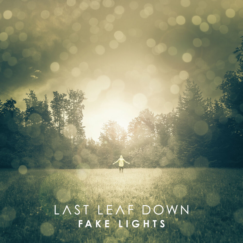 Picture of Fake Lights