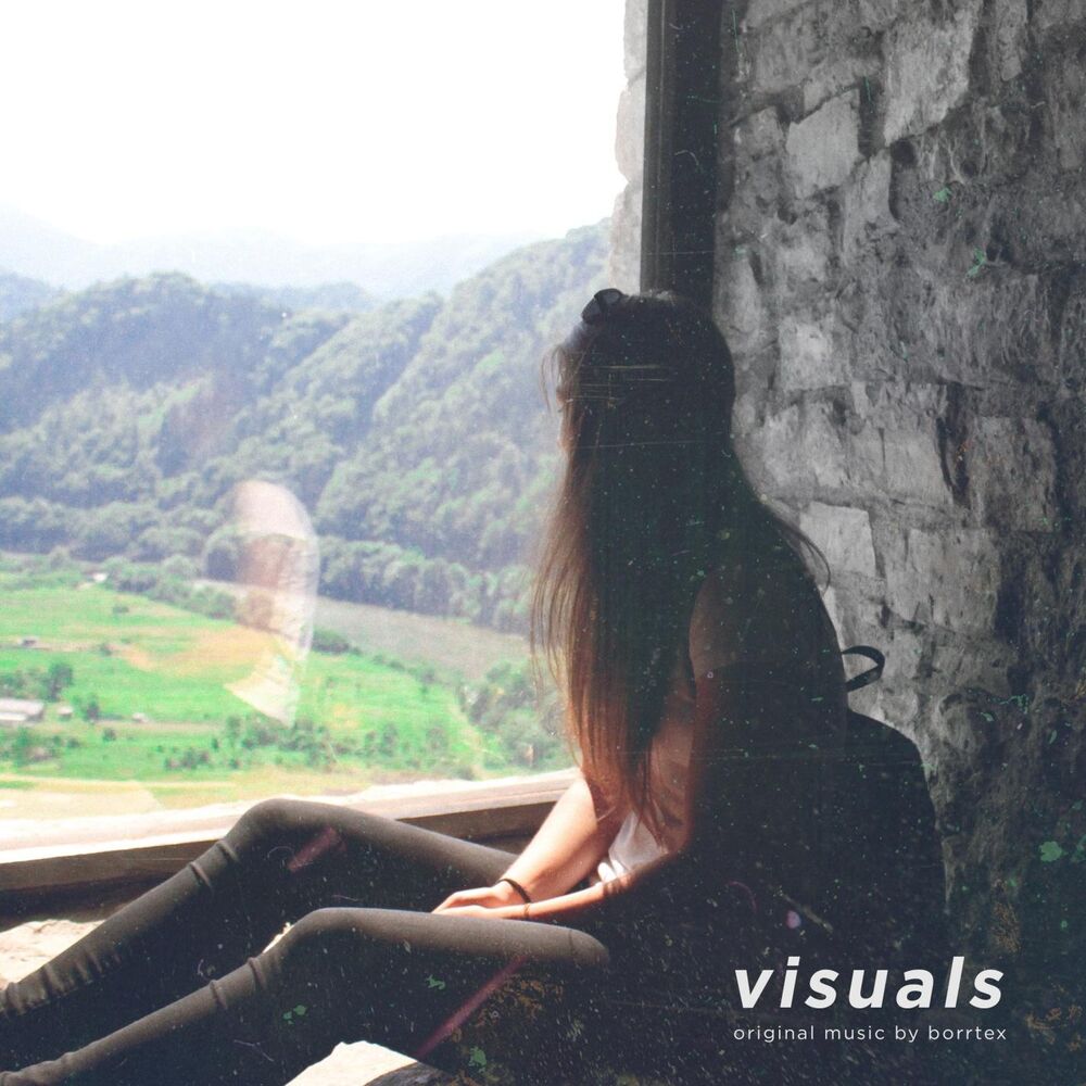 Picture of Visuals