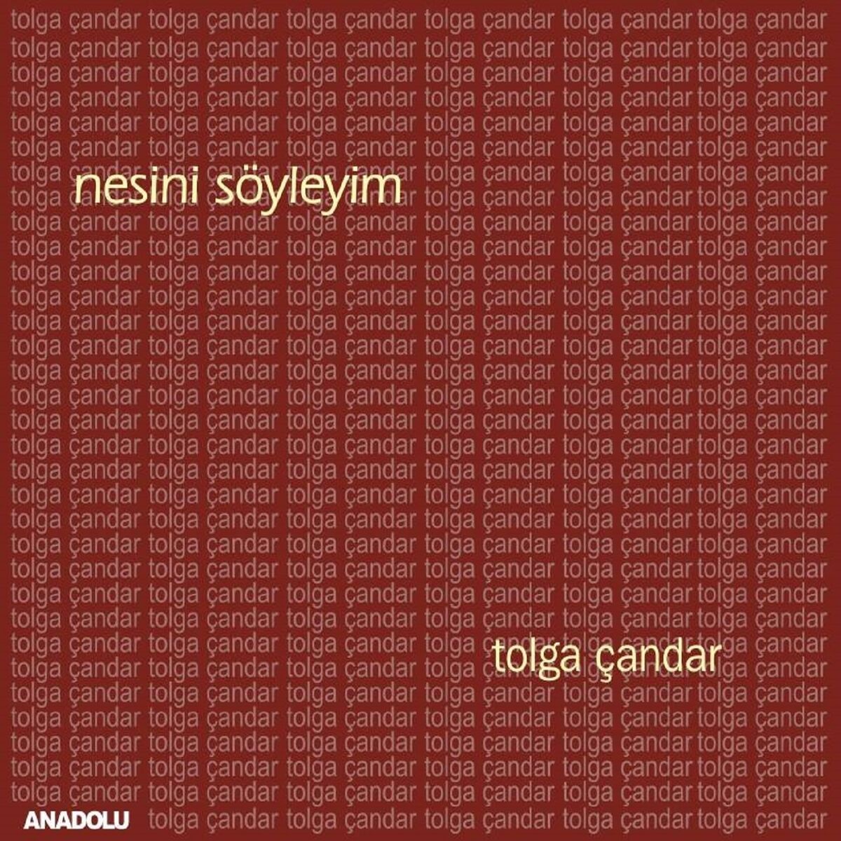 Album cover of Nesini Söyleyim