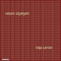 Nesini Söyleyim