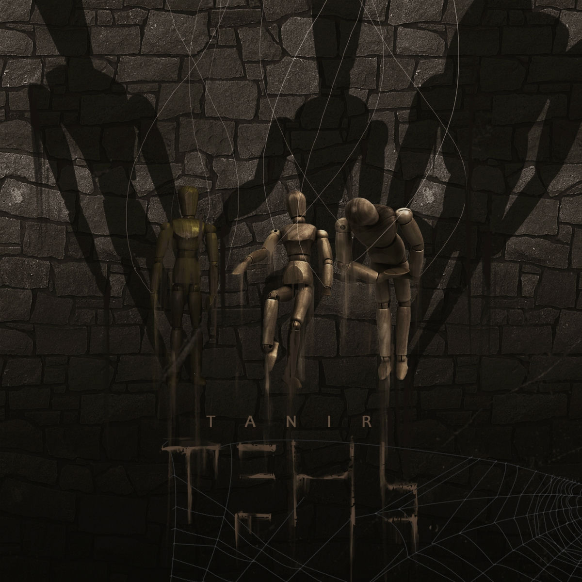 Album cover of Тень