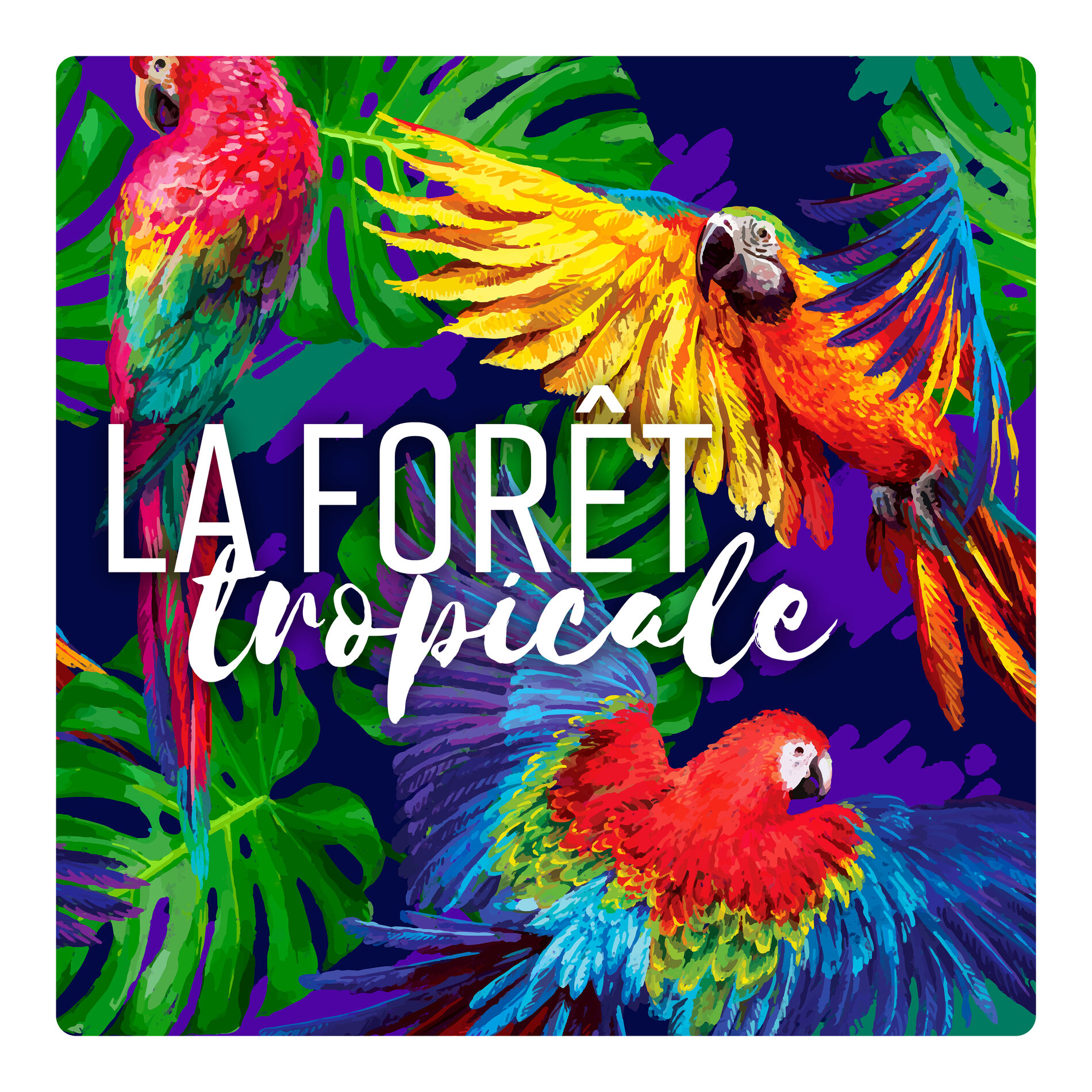 Album cover of La forêt tropicale - Bruits de la nature exotique pour relaxation naturelle, Se détendre et dormir