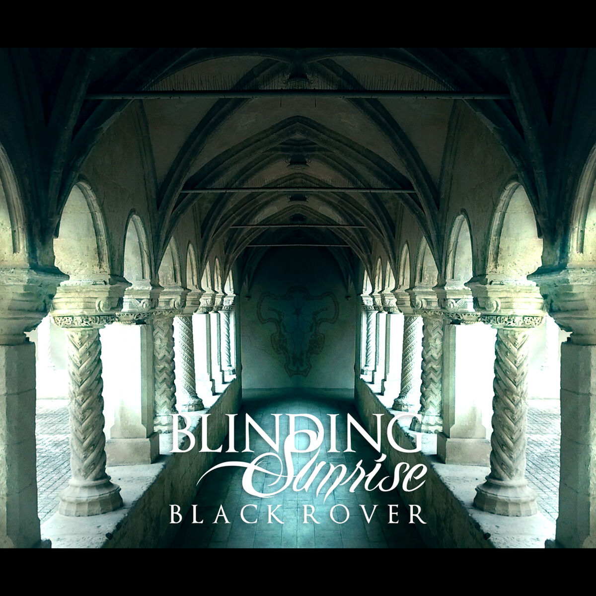 Album cover of Black Rover