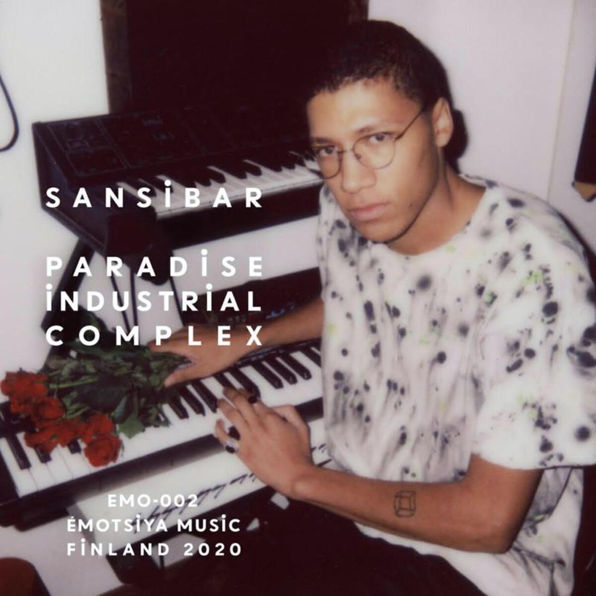 Album cover of Paradise Industrial Complex