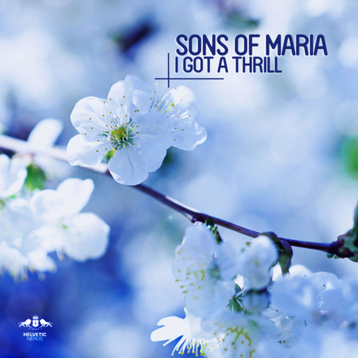 Album cover of I Got a Thrill