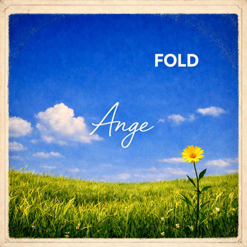 Fold