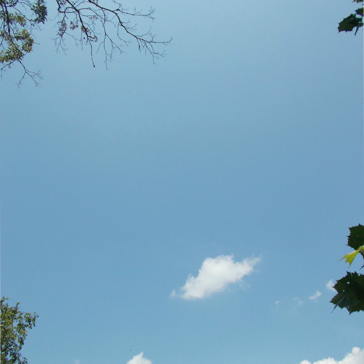 Album cover of walks in the park // those silly stories