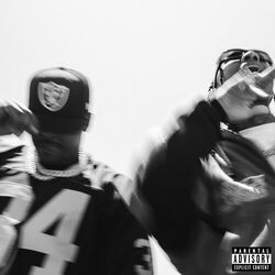 Cover of PLATINUM