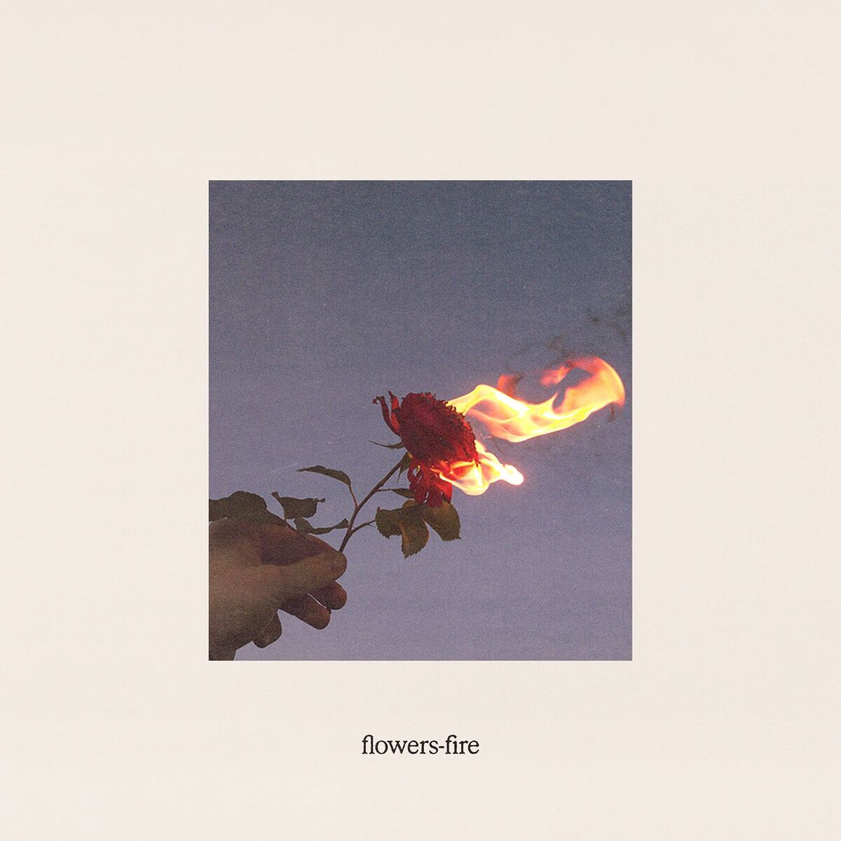 Album cover of flowers-fire