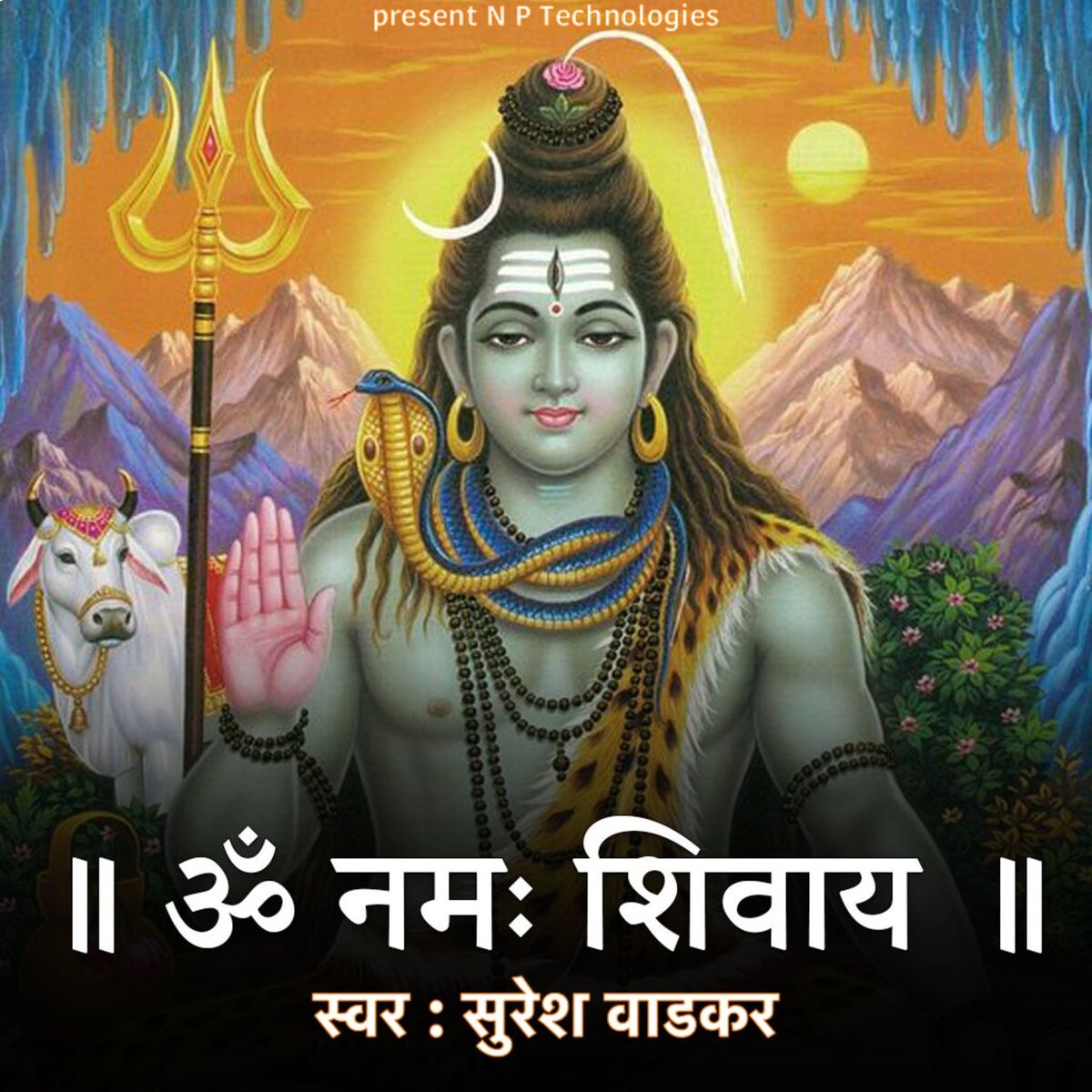 Album cover of Om Namah Shivay
