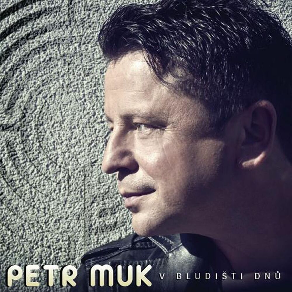 Picture of V bludišti dnů