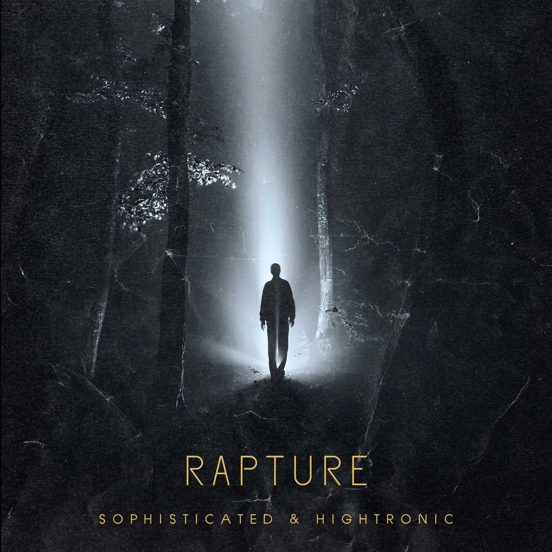 Album cover of Rapture