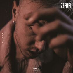 Cover of Zzala