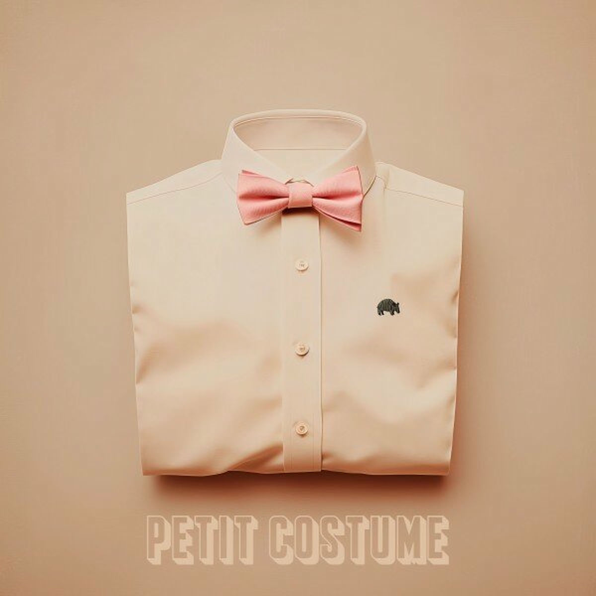 Album cover of Petit costume