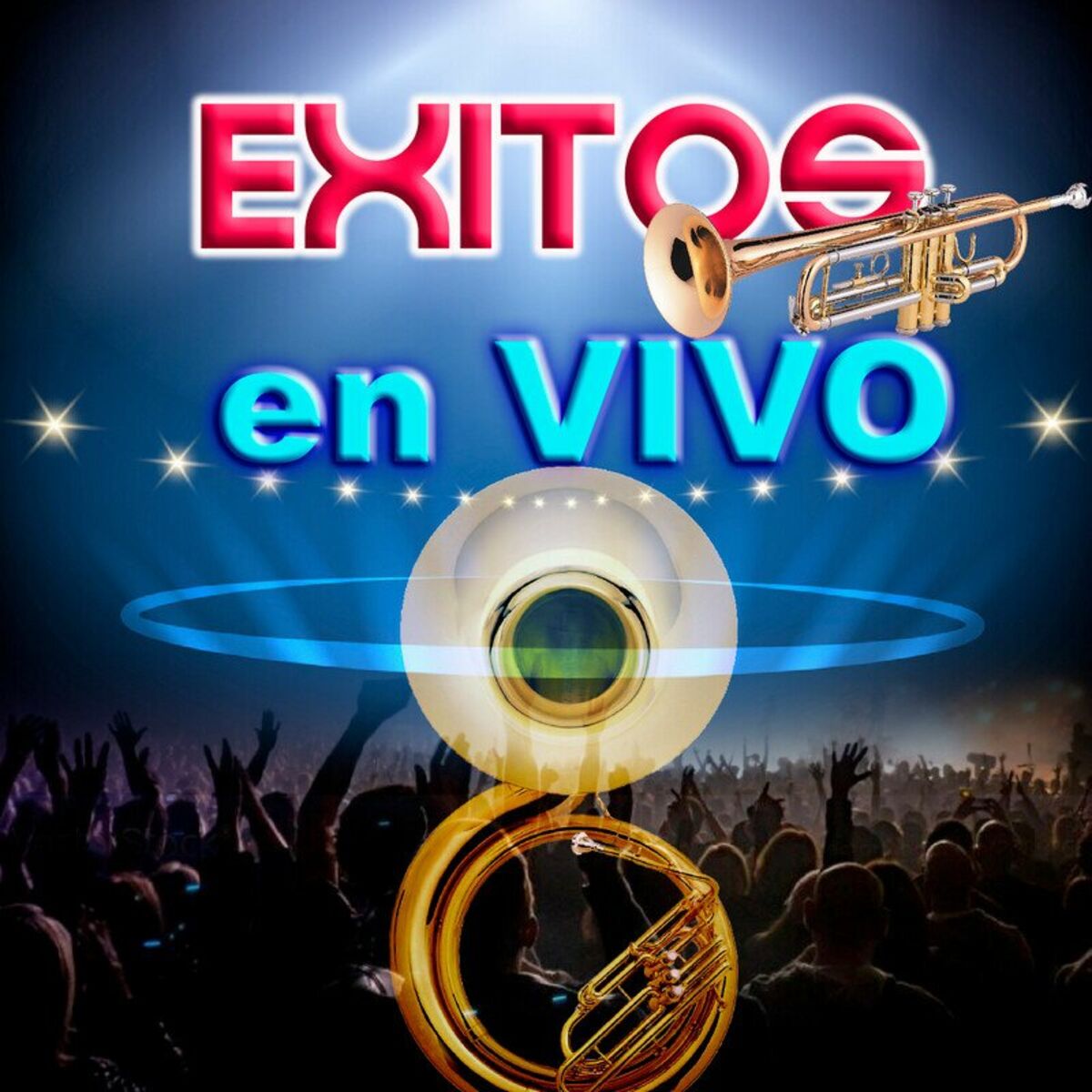 Album cover of Exitos En Vivo