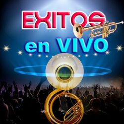 Cover of Exitos En Vivo