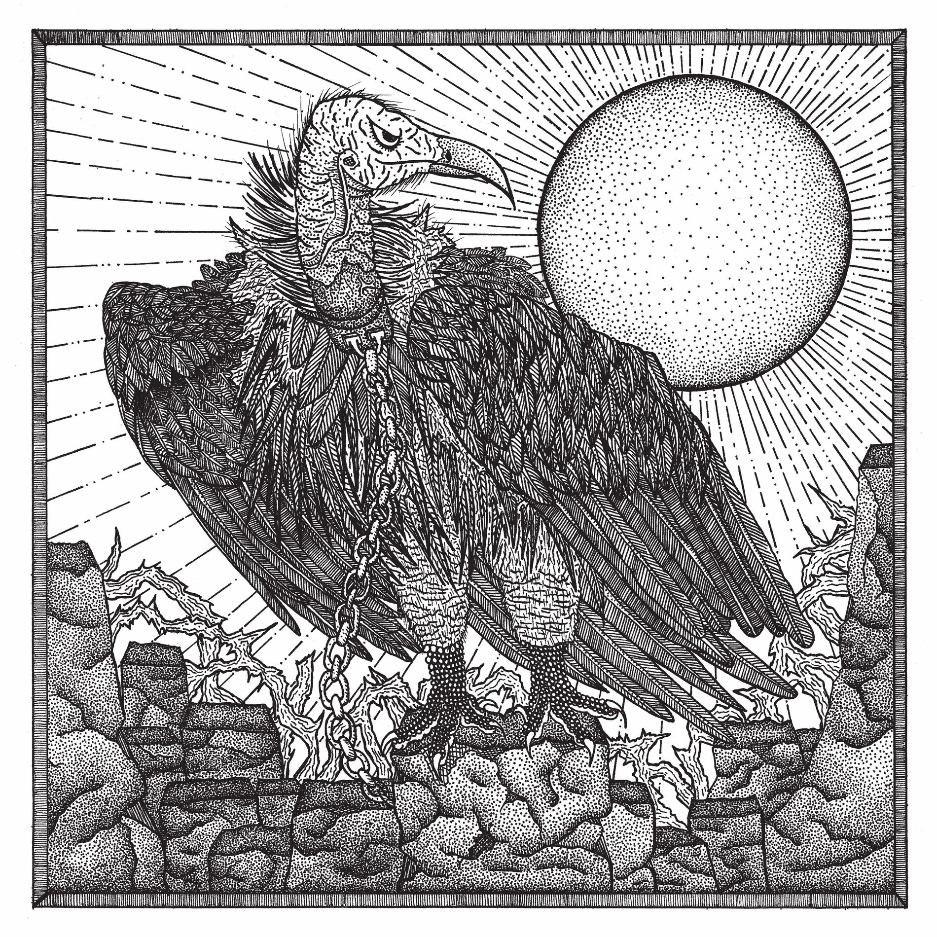 Album cover of Bird On A Chain