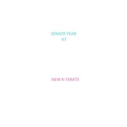Cover of Senior Year