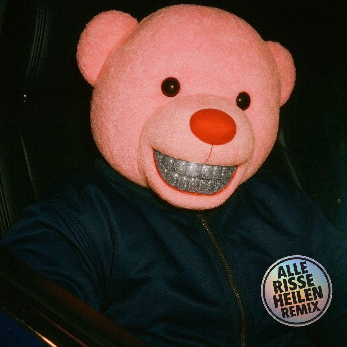 Album cover of Alle Risse heilen