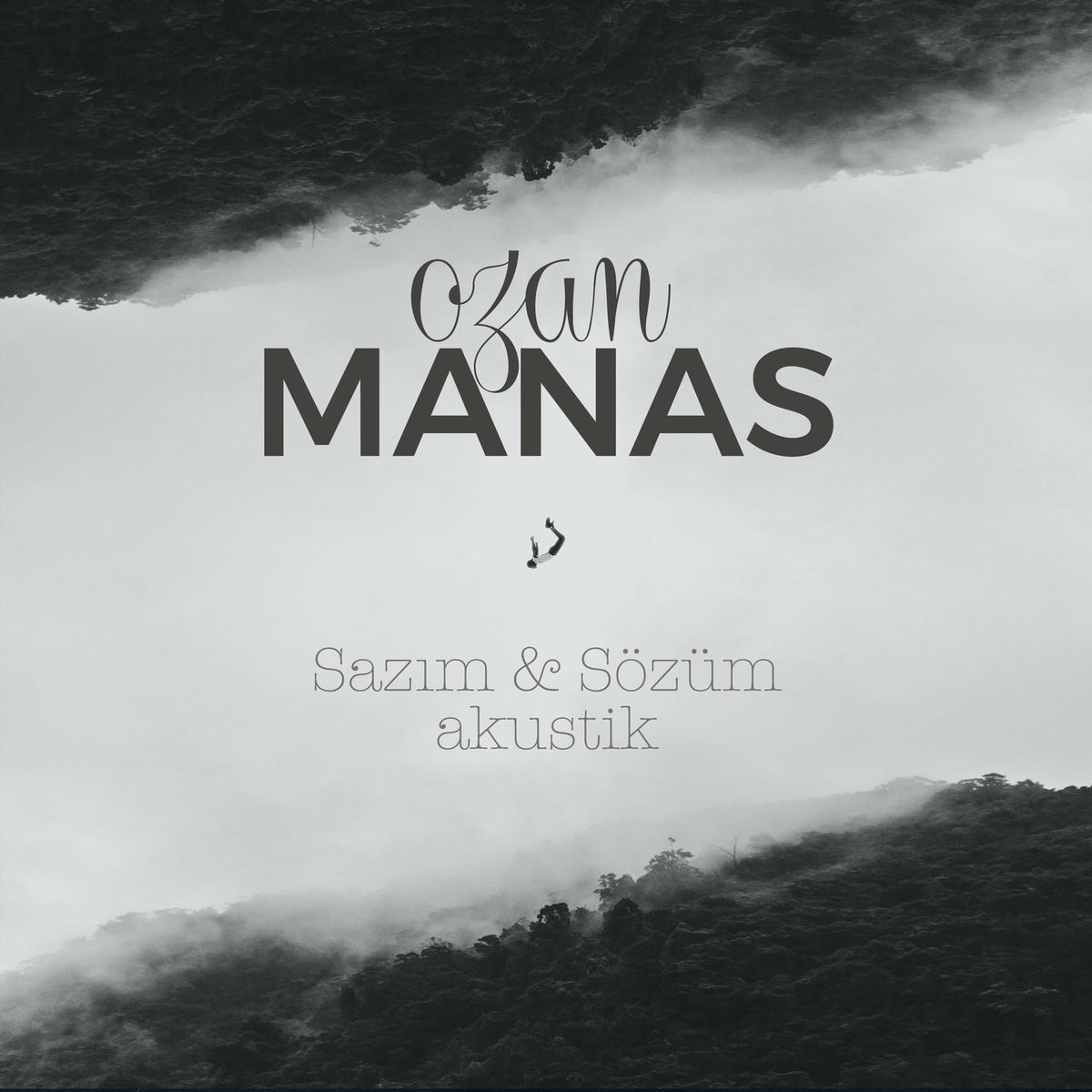 Album cover of Seni Ciğerim Affetsin