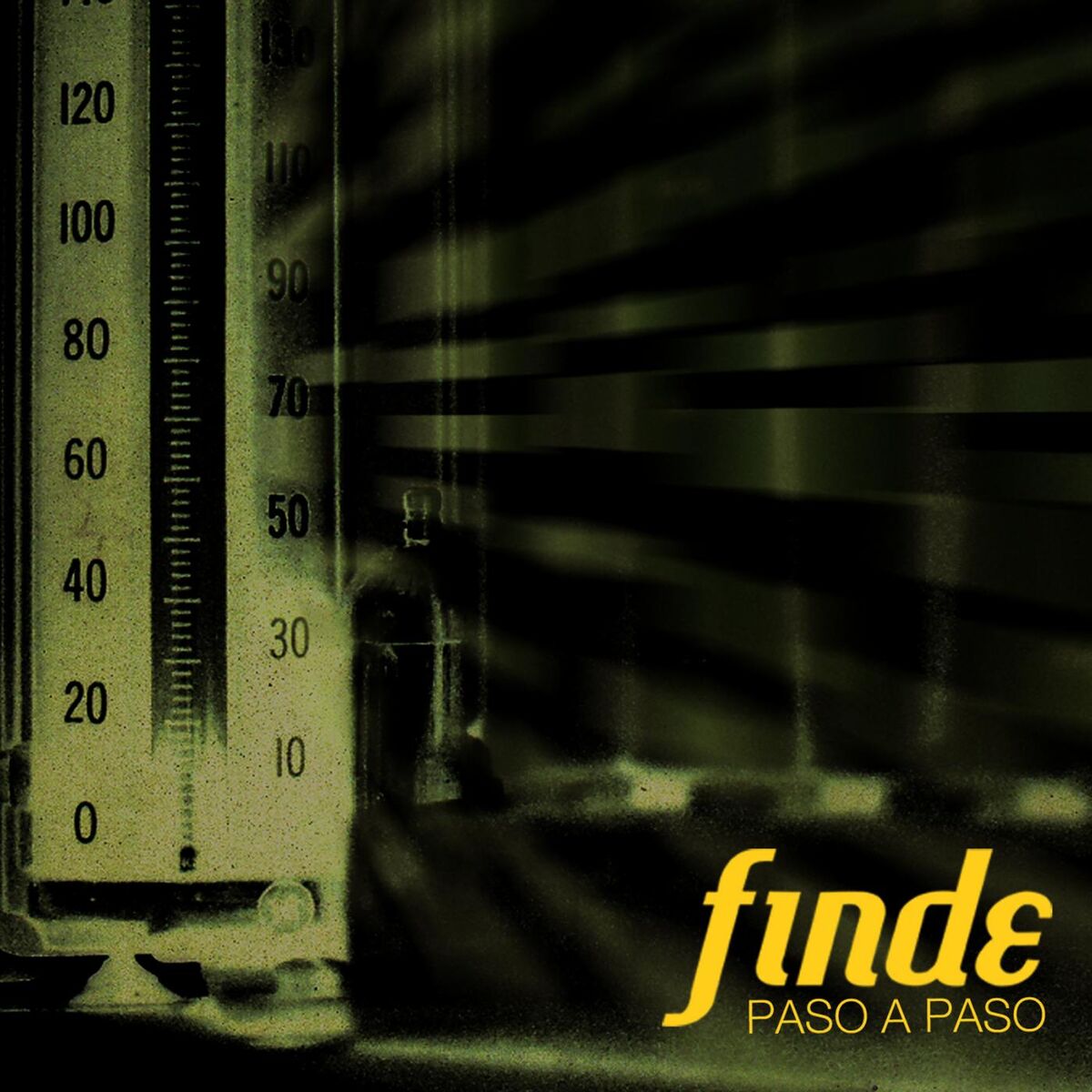 Album cover of Paso a Paso