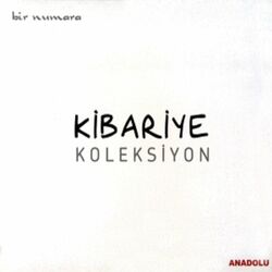 Cover of Bir Numara (Koleksiyon)