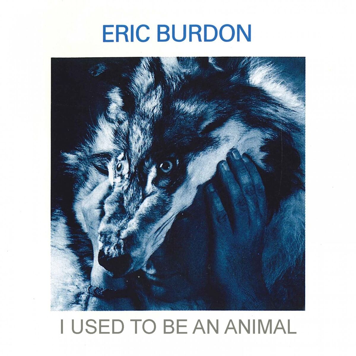 Album cover of I Used to Be an Animal