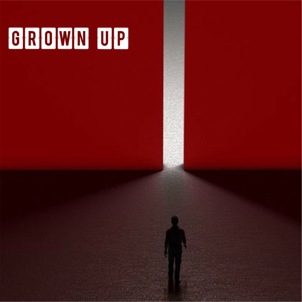 Album cover of Grown Up