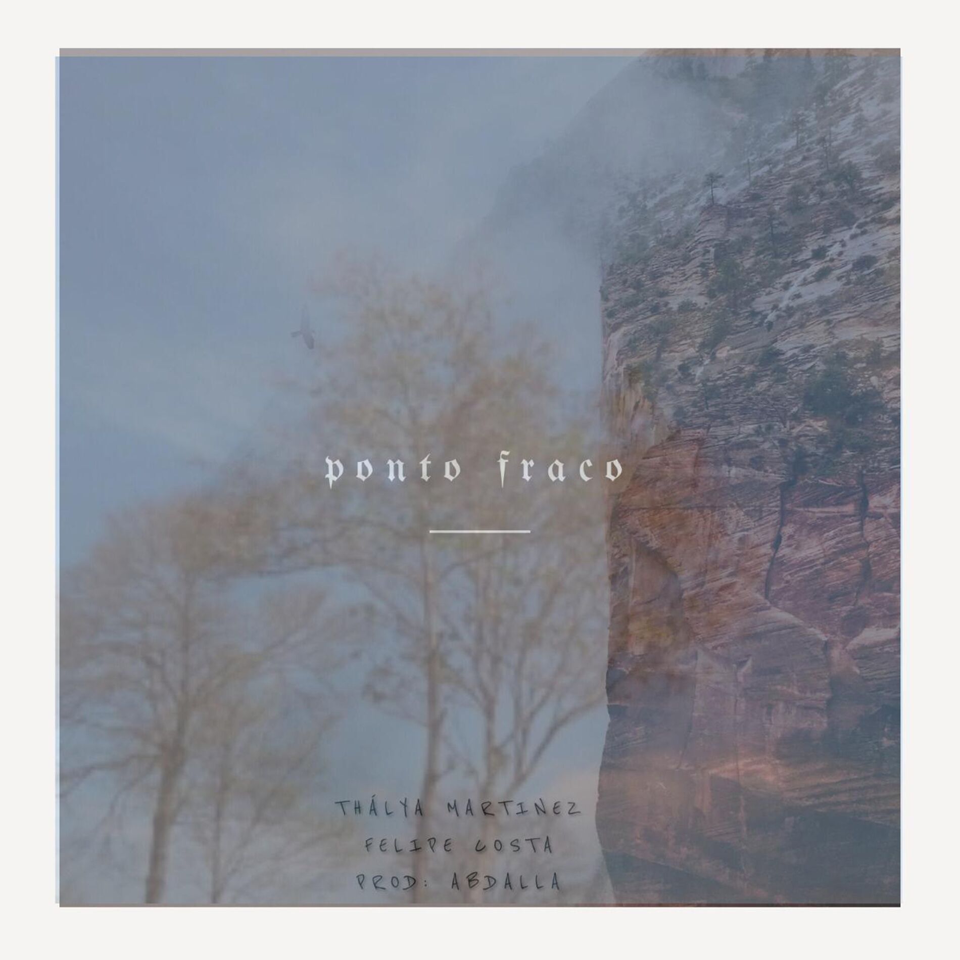 Album cover of Ponto Fraco