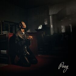 Cover of Pray