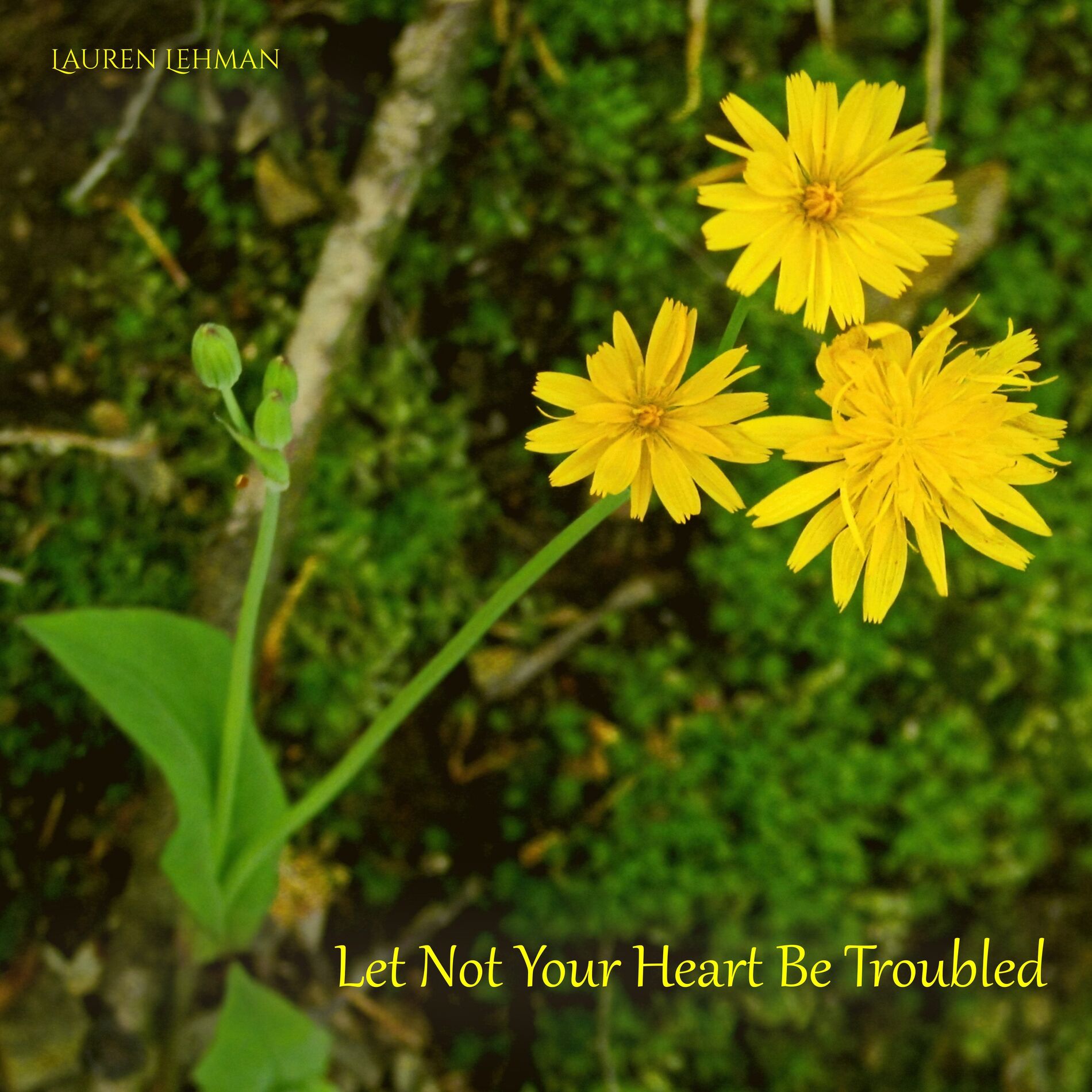 Album cover of Let Not Your Heart Be Troubled