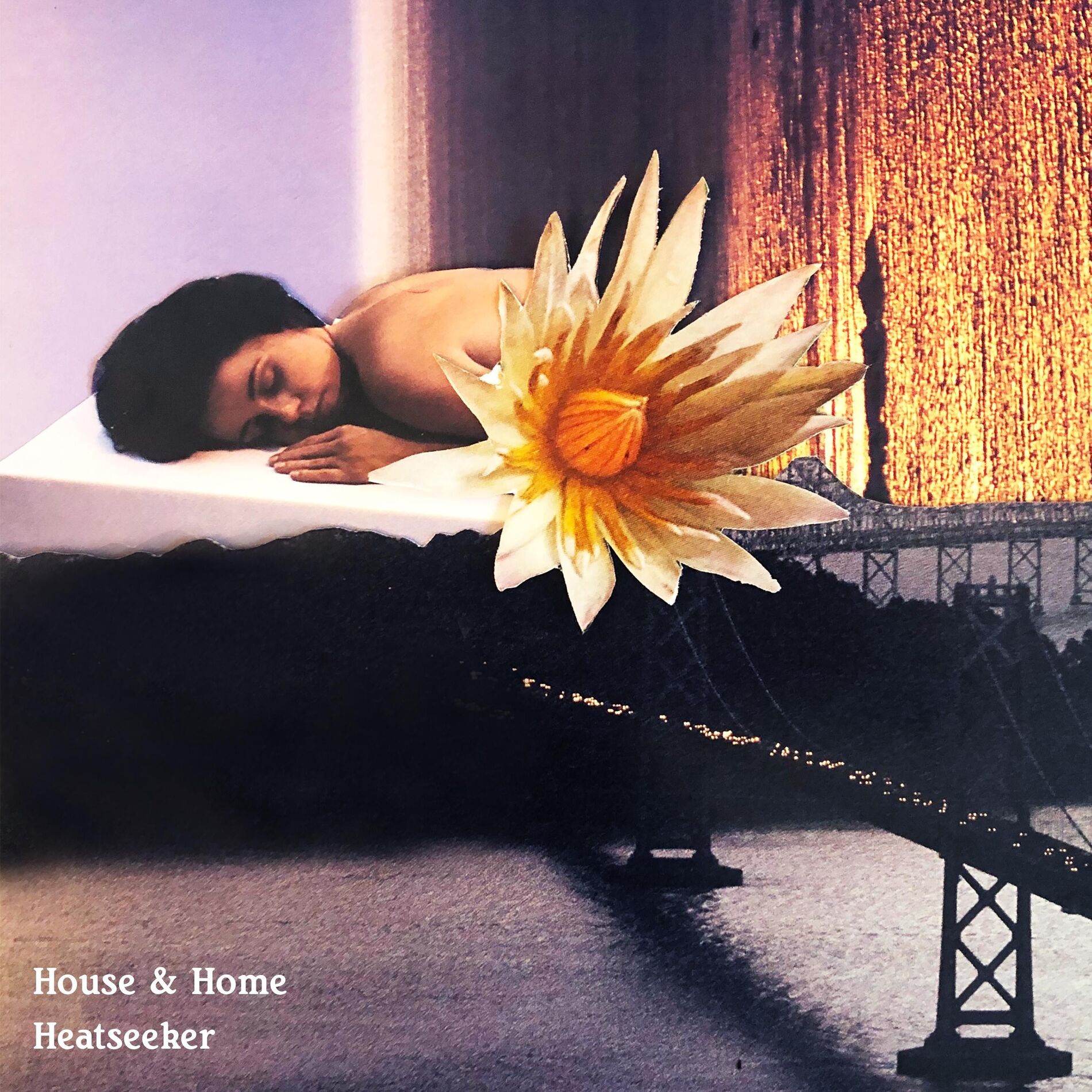 Album cover of Heatseeker