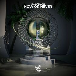 Cover of Now Or Never