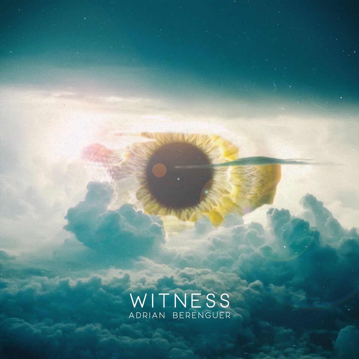 Album cover of Witness