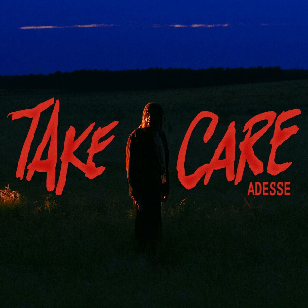 Album cover of Take Care