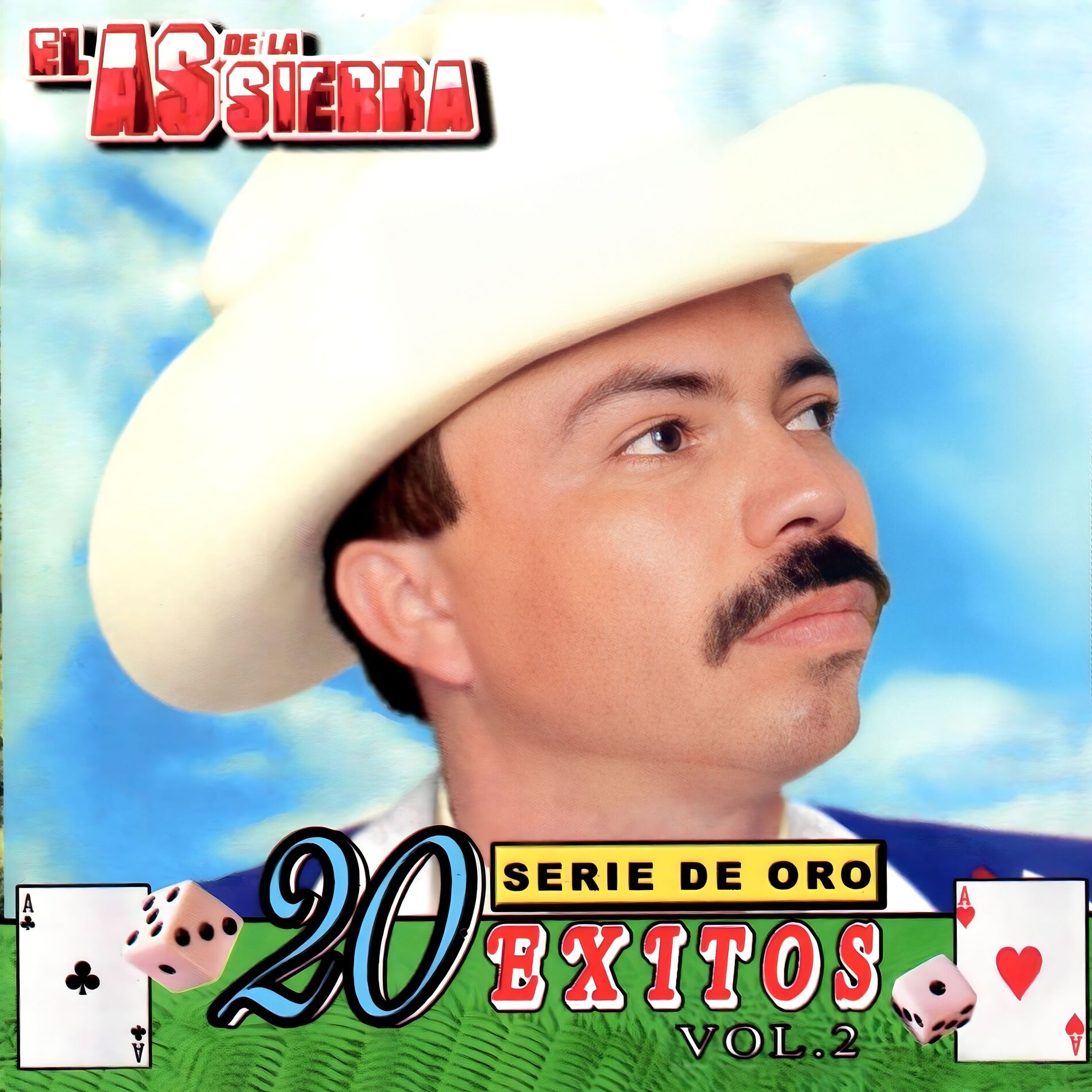 Album cover of Serie de Oro 20 Exitos (Vol. 2)