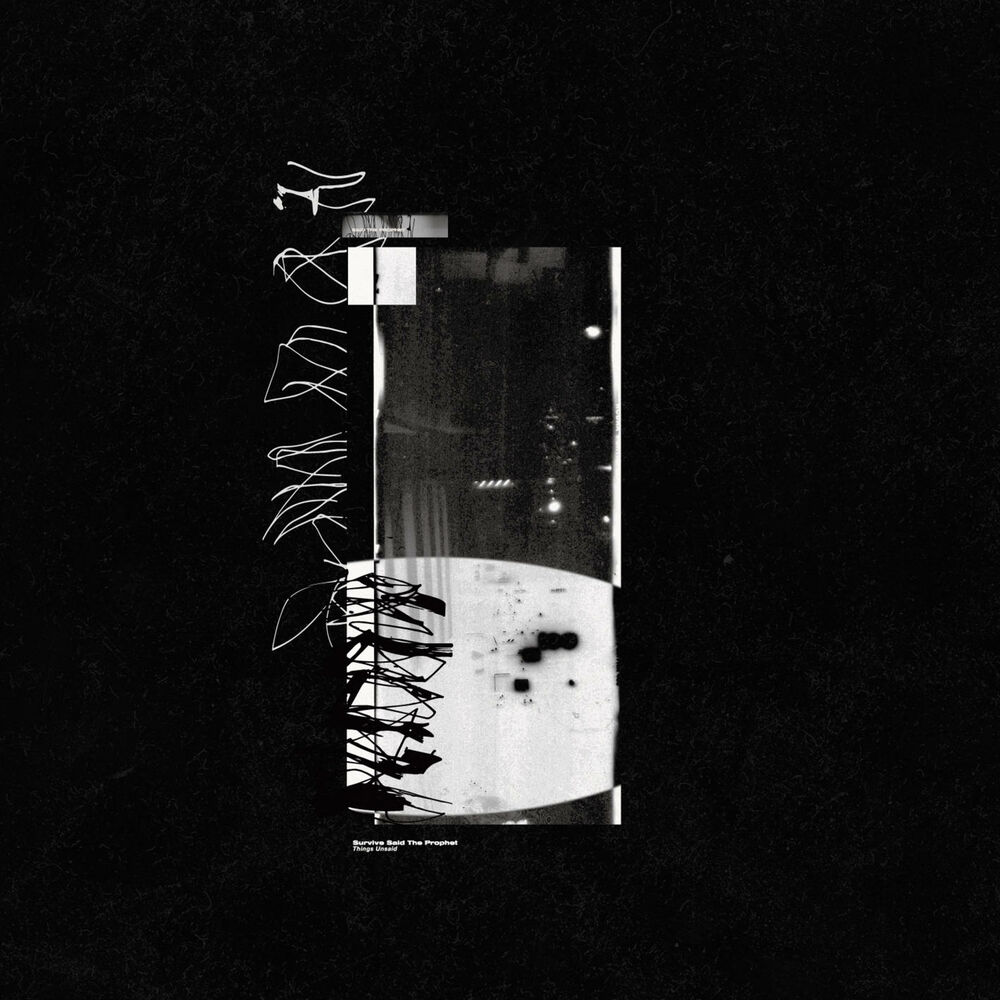 Picture of Things Unsaid