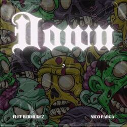 Cover of Down