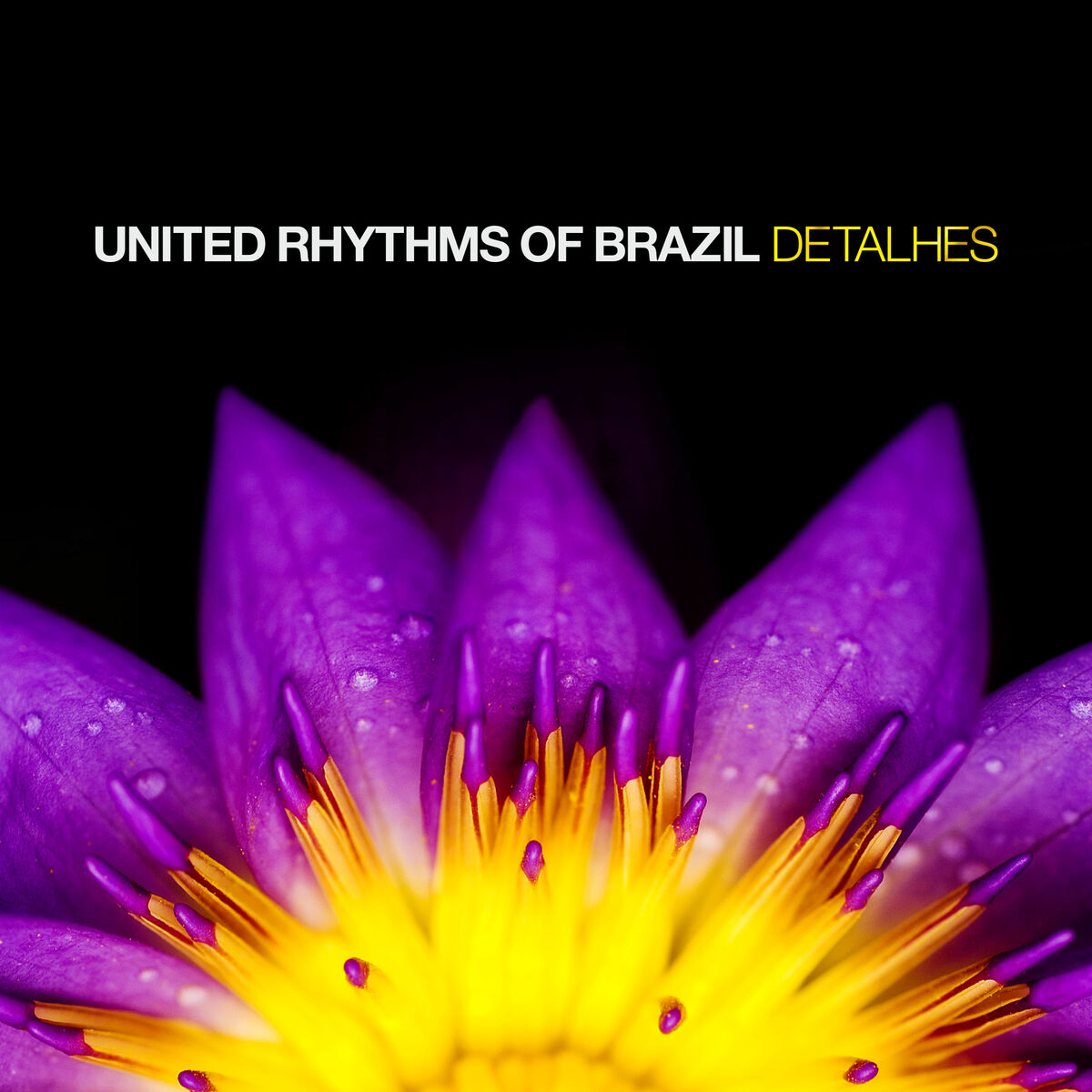 Album cover of Detalhes