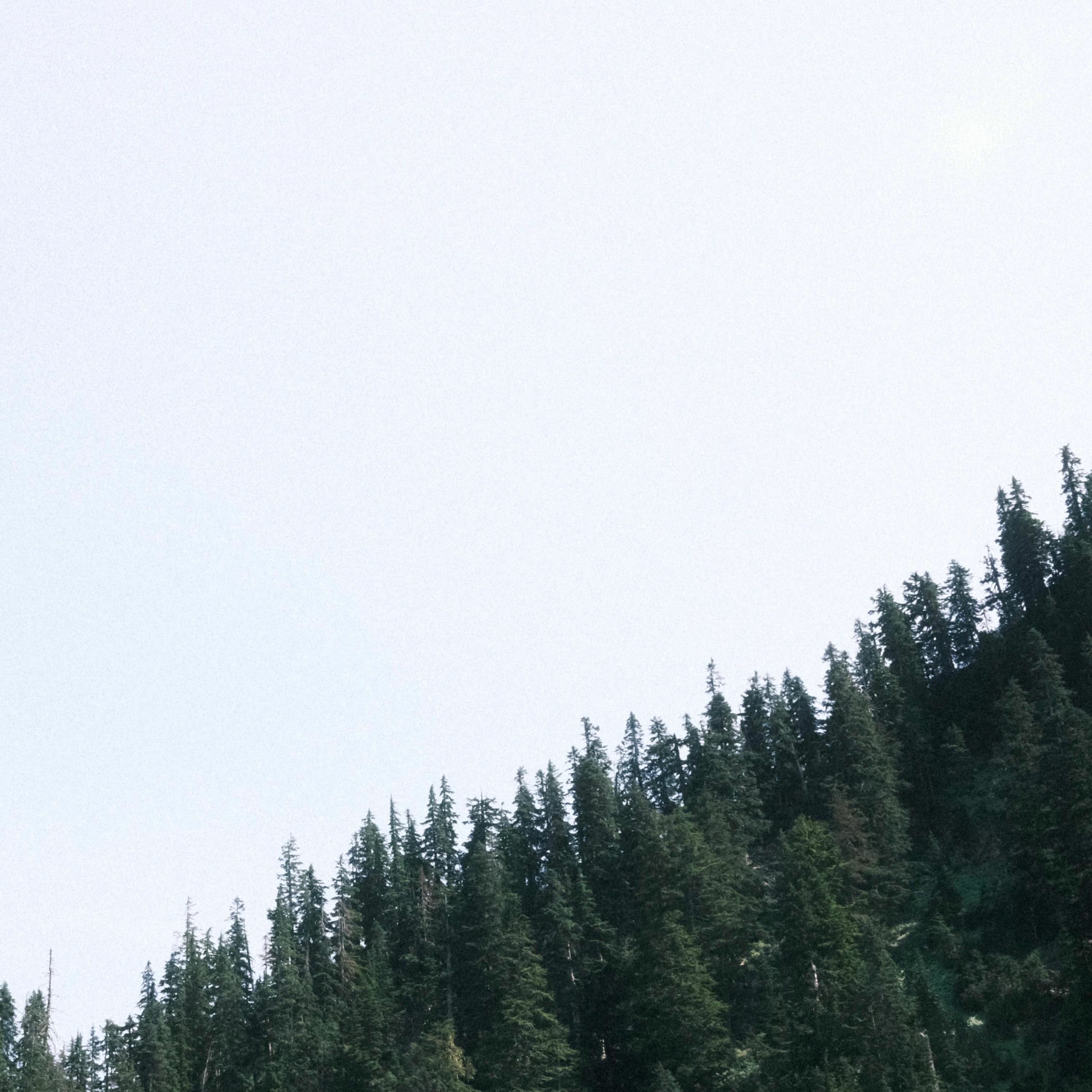 Album cover of Every Weekend