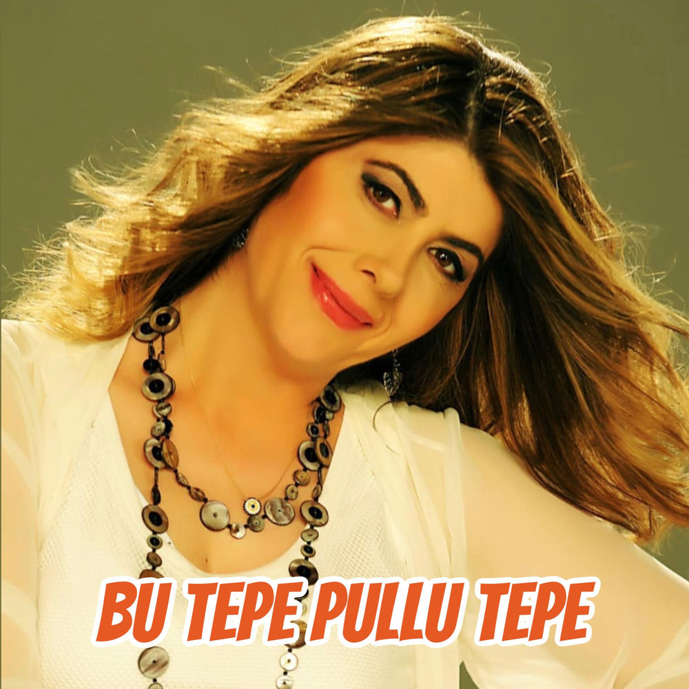 Bu Tepe Pullu Tepe