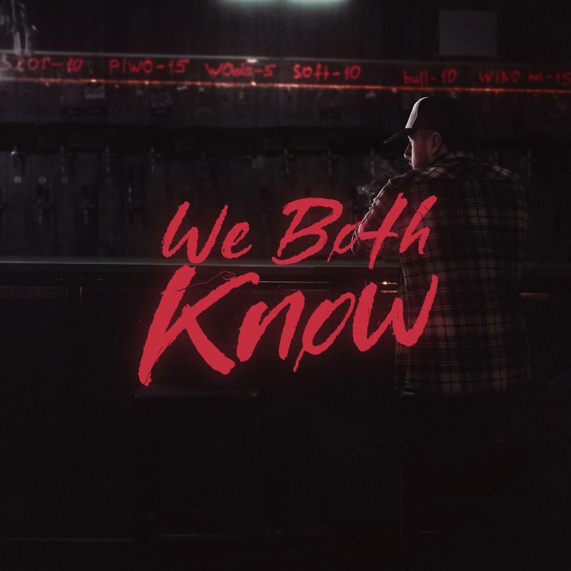 Album cover of We Both Know