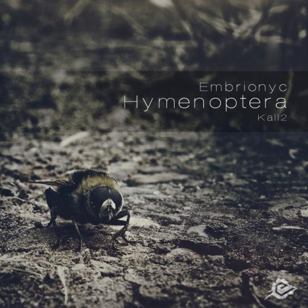 Picture of Hymenoptera