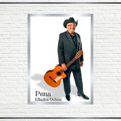 Cover of Pena