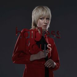 Cover of Hairless Toys
