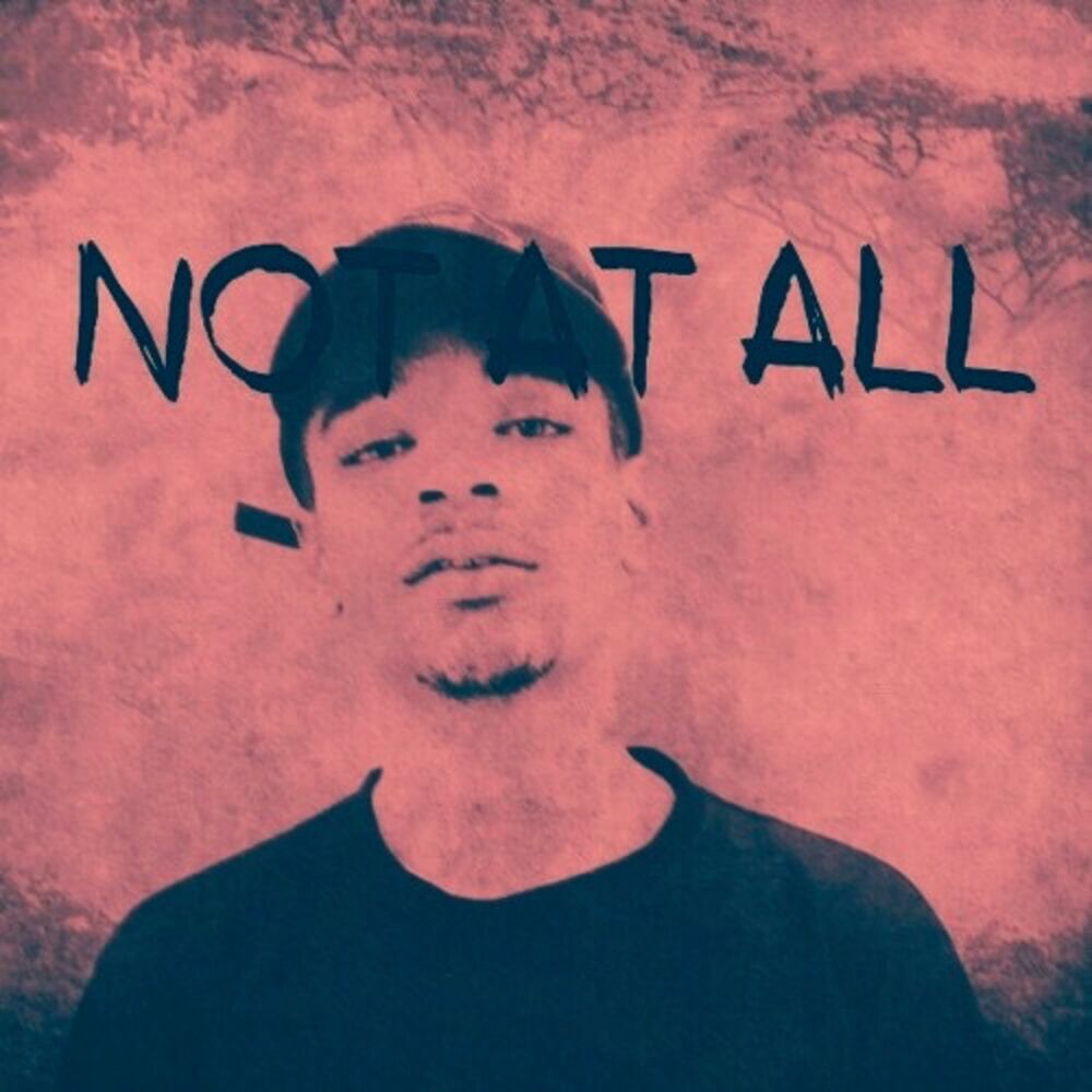 Picture of Not at All