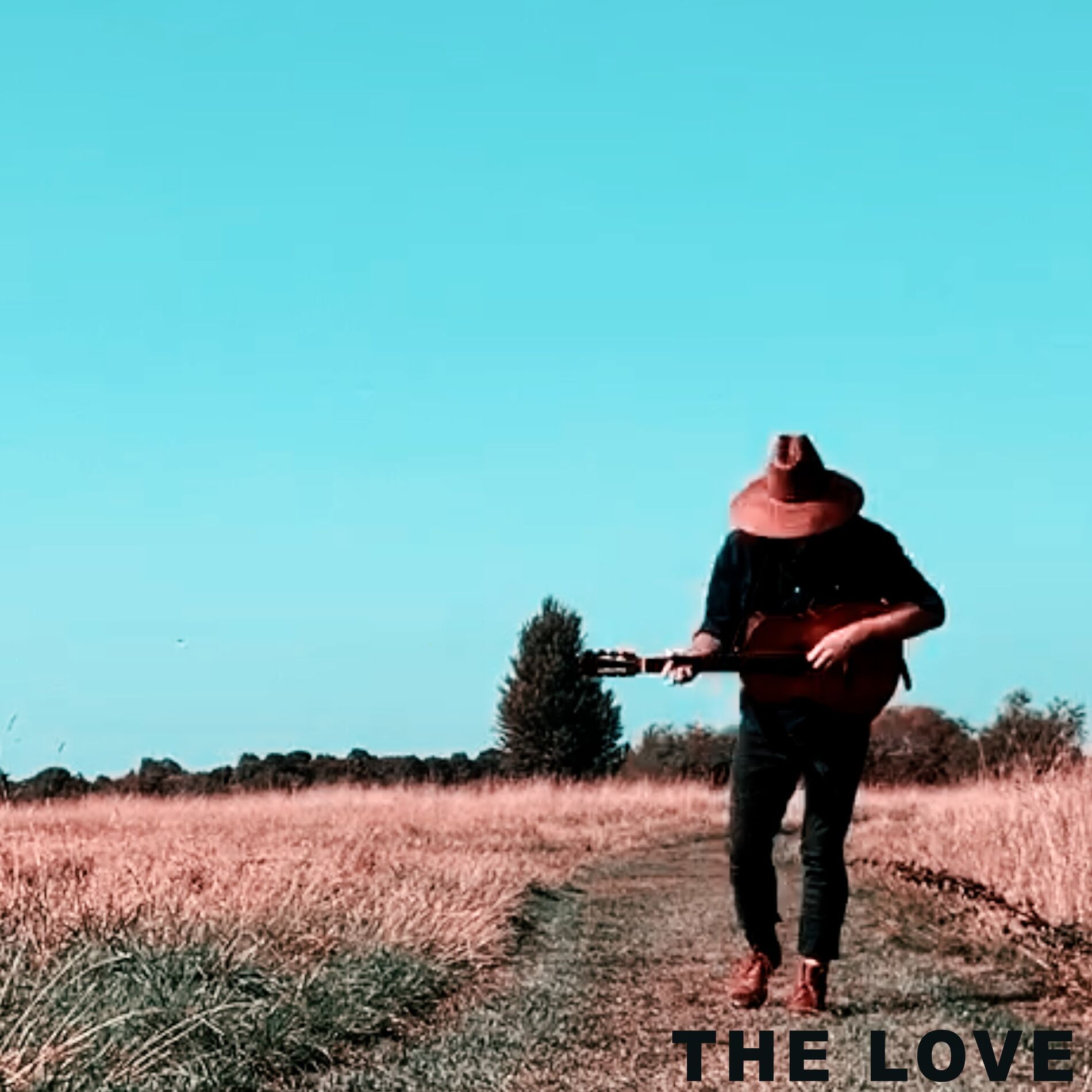 Album cover of The Love