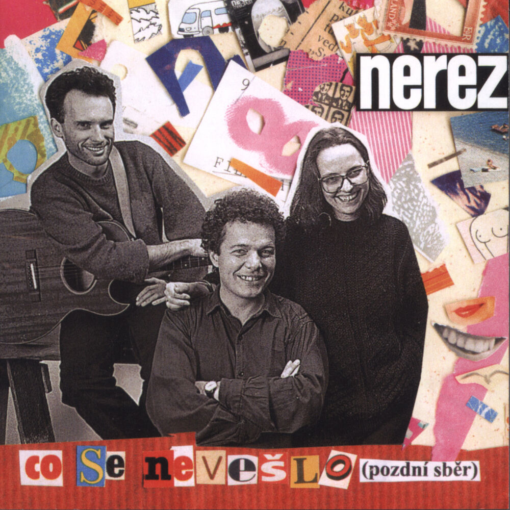 Picture of Co se nevešlo