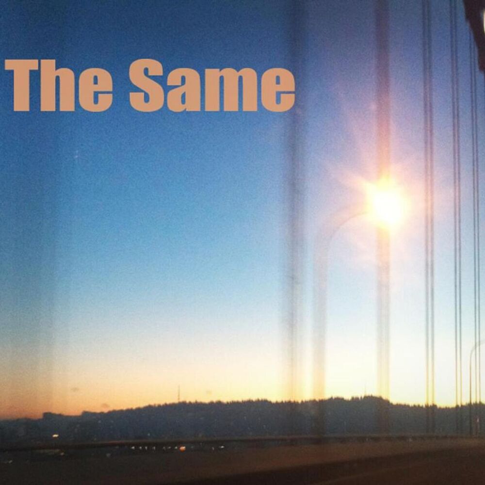 Picture of The Same