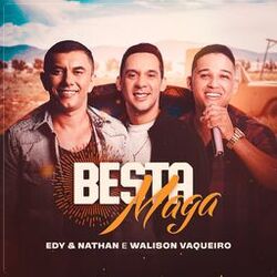 Cover of Besta Maga